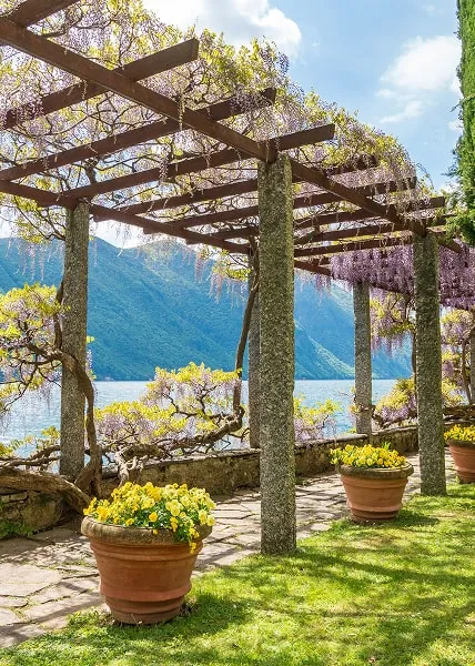 Wisteria-covered pergola overlooking Lake Como